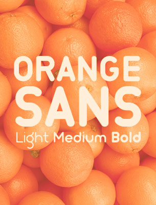 Styles: 3 (Light, Medium and Bold)
Foundry: Orange Inc
Commercial use: ok
Web font available
Can't be used as logo mark. Amending and redistributing the font is prohibited.