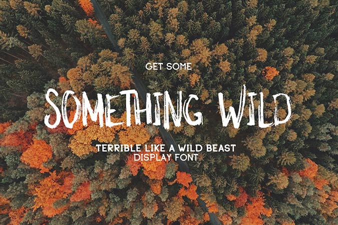 something-wild