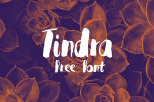 Tindra is a free-to-download hand painted brush font that supports Latin, Swedish, Spanish , Norweigian and German characters.