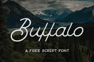 Buffalo is a loopy & quirky monoline script font from Hustle Supply Co.