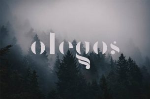 Olegos is a minimalist display style font design that you can download for free.