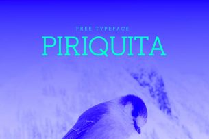 Piriquita is a free slab serif font with distinctive geometrical feature.