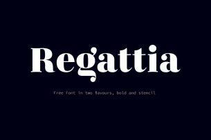 Regattia is a didone style display font that comes with regular and stencil styles.