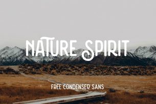 Nature Spirit is a vintage style display font face that comes with two styles.